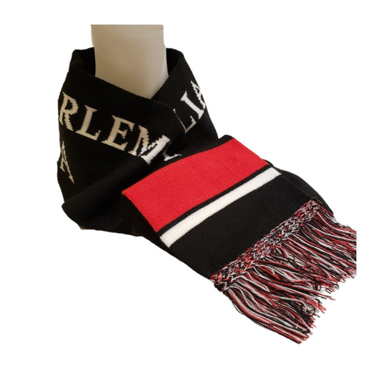 Scarf (Knit) | Foulard (Tricot)